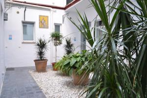 dziedziniec z doniczkami przed budynkiem w obiekcie Casas y Patios de Sevilla w Sewilli