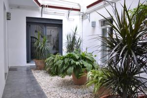 Ogród w obiekcie Casas y Patios de Sevilla