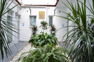 Ogród w obiekcie Casas y Patios de Sevilla