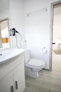 Vonios kambarys apgyvendinimo įstaigoje Evi Rooms Ljubljana