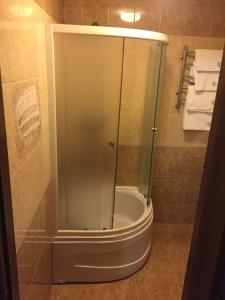 La salle de bains est pourvue d'une douche avec une porte en verre. dans l'établissement Podilskii Dvir, à Yakushintsy