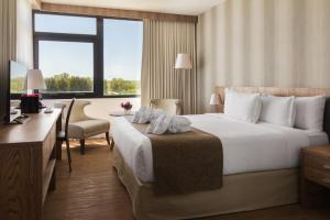 a hotel room with a bed and a desk and a window at Salinas del Almiron Resort Termal in Termas de Almiron