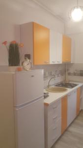 La cuisine est équipée d'un réfrigérateur blanc et d'un évier. dans l'établissement Pensiune Spital Fundeni, à Bucarest
