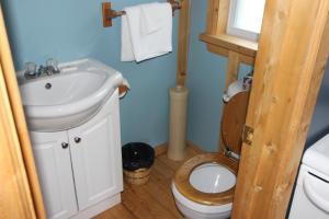 a small bathroom with a toilet and a sink at Chalets Nature Océan in Perce