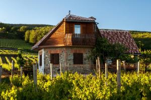 an old house in a vineyard with yellow flowers at Robinson Vila Kitokret in Kutjevo