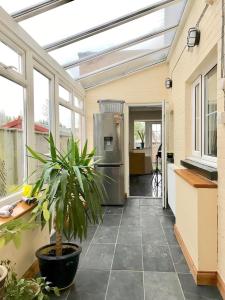 a conservatory with a plant on a patio at Seaside holiday home in Exmouth