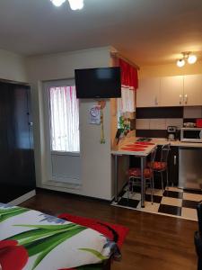 Dapur atau dapur kecil di Garsoniera Lorelai +32 gambar