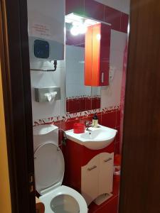 a bathroom with a toilet and a sink at Garsoniera Lorelai in Baile Felix