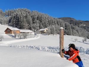 Biobauernhof Poidlbauer durante l'inverno
