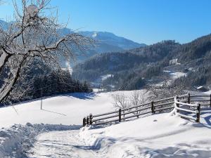 Biobauernhof Poidlbauer durante l'inverno