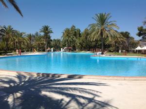 uma grande piscina com palmeiras ao fundo em Apartments Di Salvo em Furnari