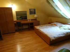 卡尔帕奇Dworek Karpacz的一间卧室配有一张床、一张书桌和一张书桌
