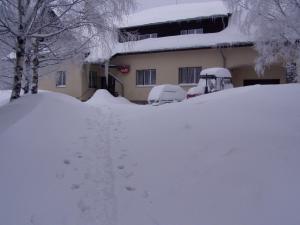 兹拉特霍里Chata Orlí vrch的房子前面的一堆雪