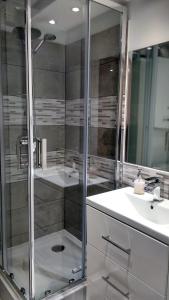 a bathroom with a shower and a sink at Pod Jarzębiną in Toruń