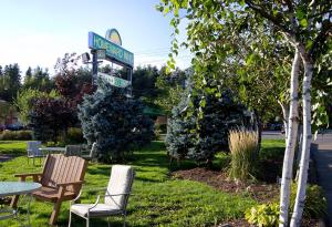 a green lawn chair sitting in front of a tree at Homeward Inns of Canada in Antigonish