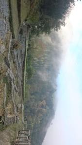 una vista aérea de un río junto a una pared de piedra en Apartamentos Rurales Vega de Llan, en Taramundi