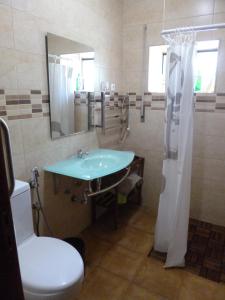 a bathroom with a sink and a shower and a toilet at Casa de Santana in Arneiro