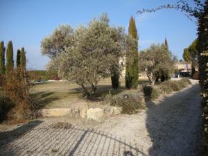 Jardin de l'établissement La Guéritaulde