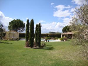 two trees in a field with a house in the background at La Guéritaulde in La Tour-dʼAigues