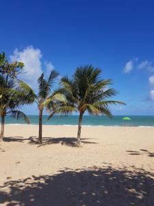 three palm trees on a sandy beach with the ocean at Hotel Barramares in Recife