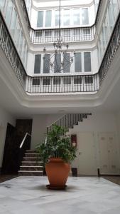 カディスにあるVilla Canovasの階段のある広い部屋の鉢植え