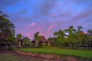 A garden outside Java Village Resort by HOMEE Yogyakarta