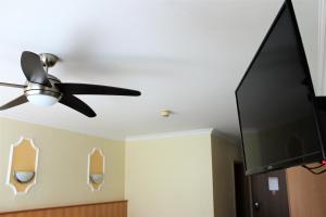TV a/nebo společenská místnost v ubytování Hotel America