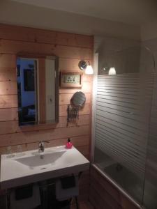 a bathroom with a sink and a shower and a mirror at Les chambres du Chat Perché in Le Havre
