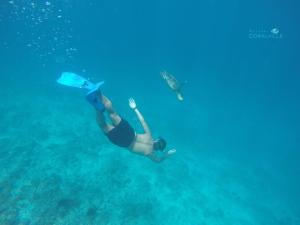 Φωτογραφία από το άλμπουμ του Rasdhoo Coralville στο Rasdu +119 φωτογραφίες