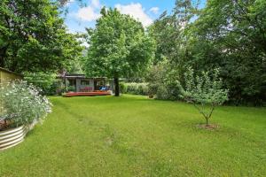 a yard with a tree and a house at Rail Trail Cottage - BRIGHT in Bright