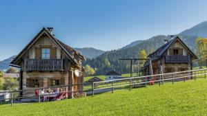 two wooden buildings in a grassy field with mountains at Feriendorf Lassing in Göstling an der Ybbs