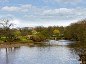 a river with birds swimming in the water at Waterloo Cottage Annexe in Ruswarp
