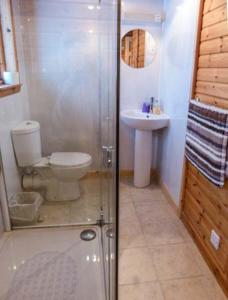 a bathroom with a shower and a toilet and a sink at Strathavon Chalet in Aviemore