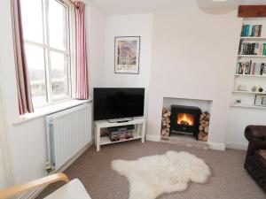 a living room with a television and a fireplace at Netherlea Cottage in Highpeak Junction
