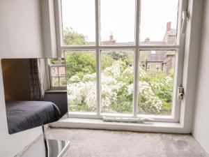 a window in a room with a chair in front of it at Olive Cottage in Richmond +8 photos