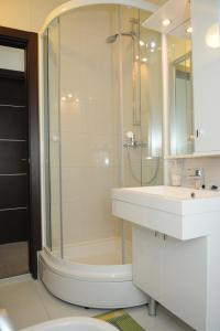 a bathroom with a glass shower and a sink at Pavlic Apartments in Betina