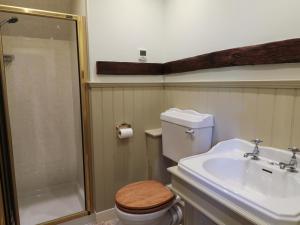 a bathroom with a toilet and a sink and a shower at Just A Cottage, Newlands Farm in Swanwick