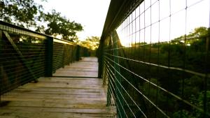 a wooden bridge with a fence on it at PrideInn Mara Camp & Cottages in Talek