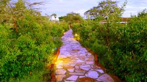 an overhead view of a stone path in a garden at PrideInn Mara Camp & Cottages in Talek