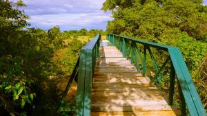 a green bridge over a forest with trees at PrideInn Mara Camp & Cottages in Talek