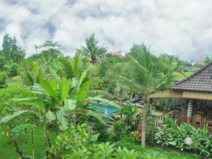 ośrodek z basenem i palmami w obiekcie Bucu Guest House w mieście Ubud