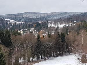 Príroda v okolí apartmánu