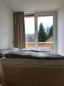 a bed in a bedroom with a large window at Bed & Wellness Fisterre in Belluno