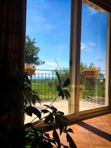 A garden outside Villa Chiara