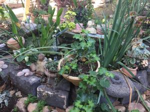 Afbeelding uit fotogalerij van Hilltop Haven in Poriyya