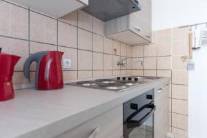Kuchyň nebo kuchyňský kout v ubytování Apartments Karen