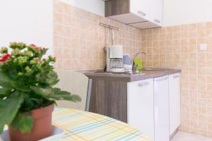 Kuchyň nebo kuchyňský kout v ubytování Apartments Karen
