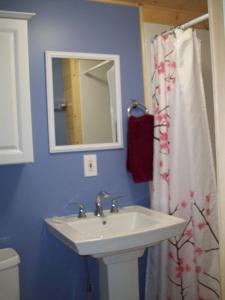 a bathroom with a sink and a shower curtain at Lakewoods Cottage in Oxtongue Lake