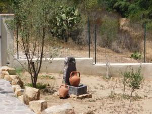 un giardino con due vasi seduti nella terra di Diletta a Cala Liberotto