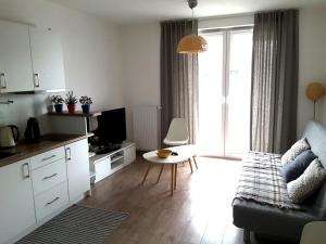 Kuchyňa alebo kuchynka v ubytovaní White Swan Apartment